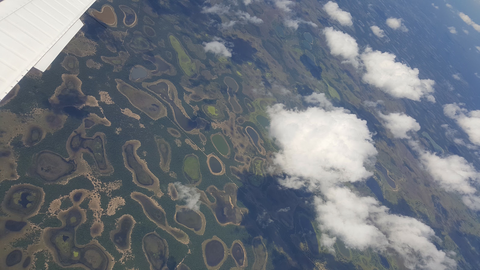 The mosaic of circular ponds in the Pantanal