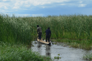 Fig. 10 Boatmen in the reed beds